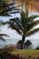 вид на океан - фотогалерея на RCC-TRAVEL.RU вид на океан - фотогалерея на RCC-TRAVEL.RU